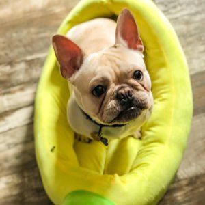 Nandog Banna Pet Bed NWT